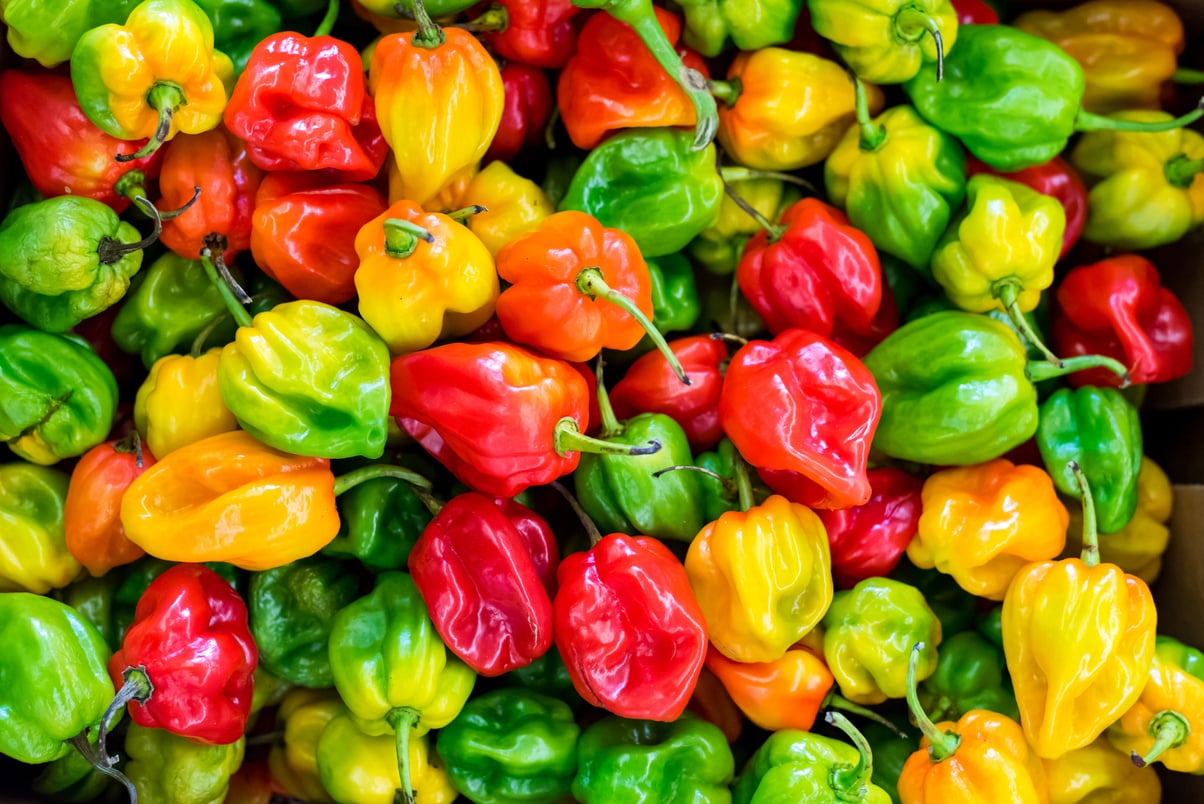 Pile of Chilies